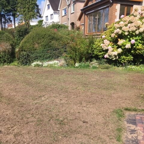 Professional Lawn Scarification Professional Lawn Scarification