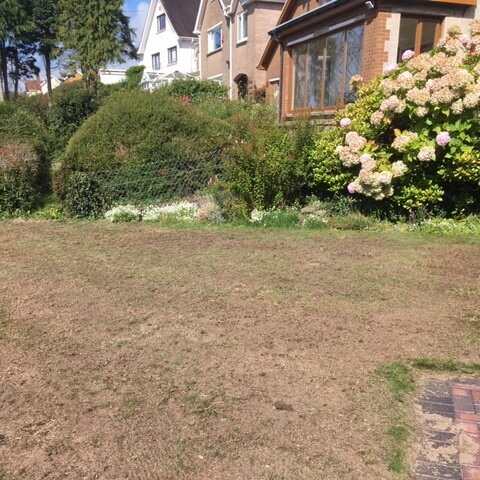 Professional Lawn Scarification