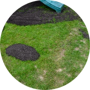 Top dressing Top dressing