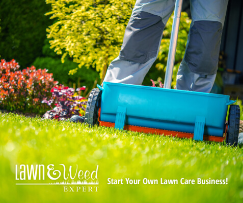 How To Start A Lawn Care Business, What Do You Need To Start Your Own Landscaping Business