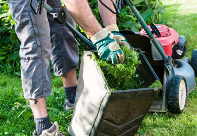 Mowing