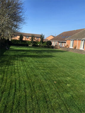 Lawn care cardiff