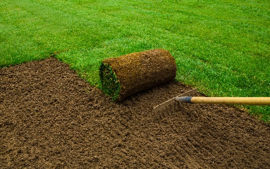 Turf Laying