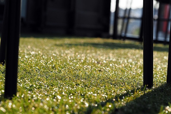 artificial grass vs real grass