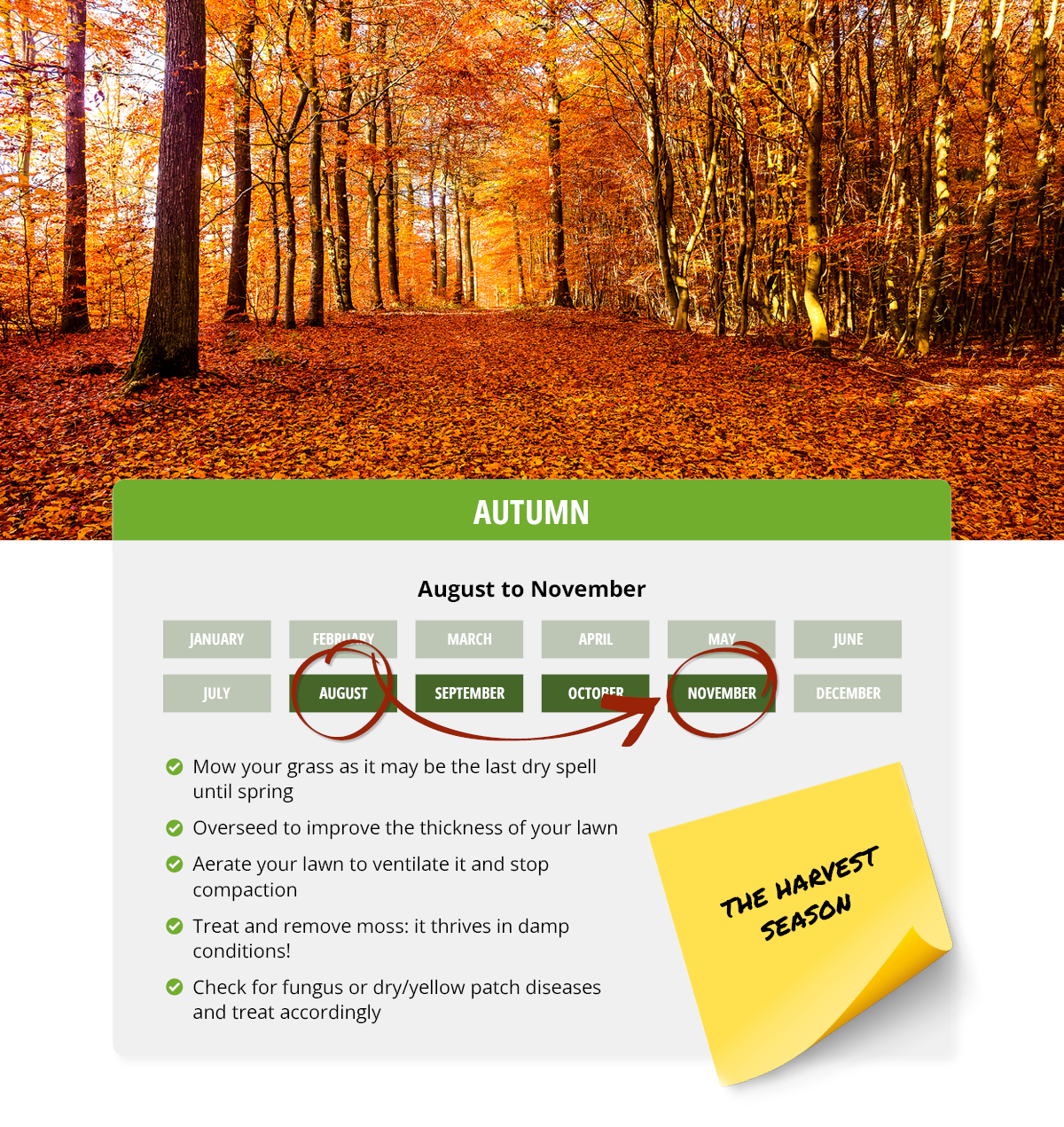 gardening schedule in autumn