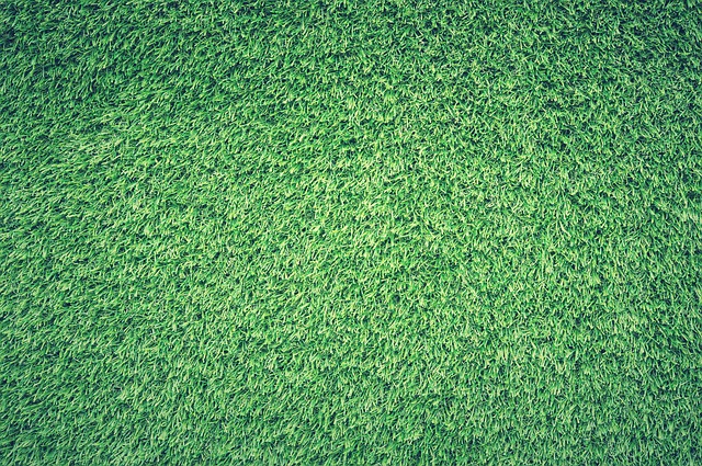 Bespoke lawn care