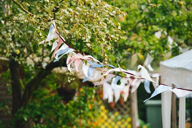 how to protect your garden from wind