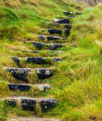 grass covered steps - creative lawn design ideas