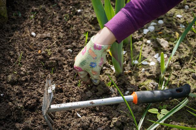 gloved hand digging in flower bed