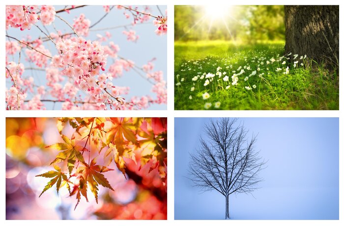 season wheel depicting spring, summer, autumn and winter
