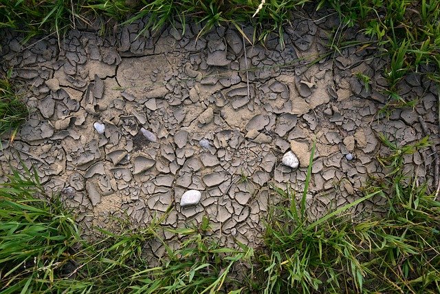 how to help lawn recover from drought