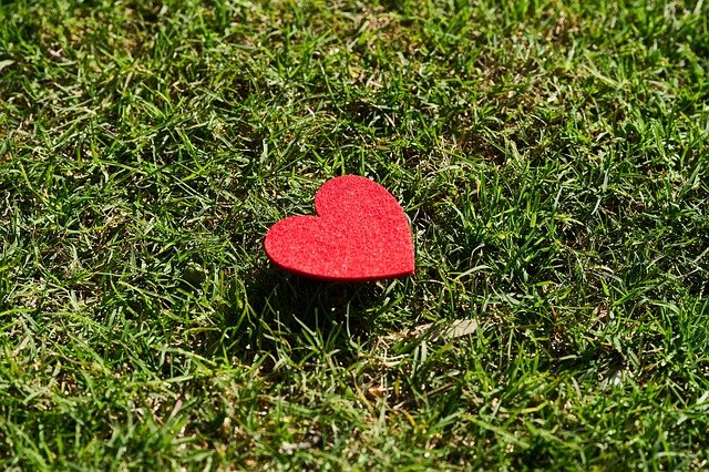 February lawn care