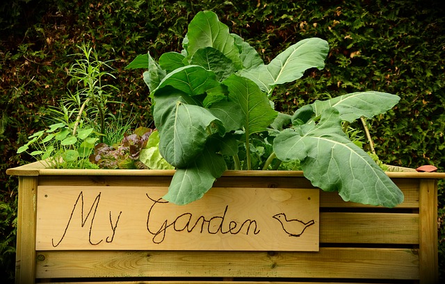 what common weeds are edible