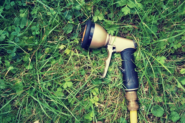 what is the best time of day to water your lawn