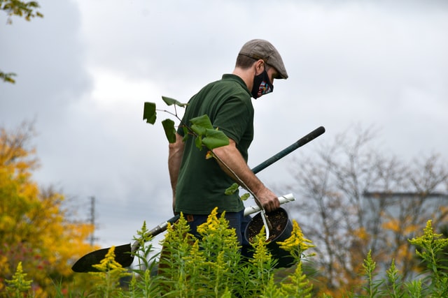 get a free lawn care quote