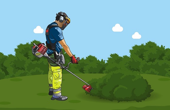 how to kill weeds without killing your grass