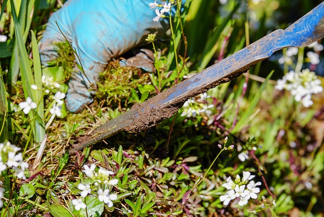 how to prevent weeds from growing - preventing weed growth before they start