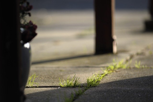 can I use a pressure washer to get rid of weeds