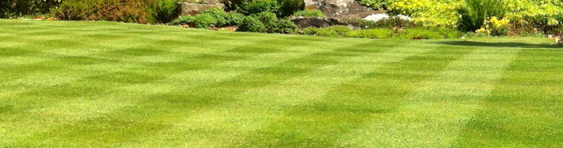 stripes on lawn