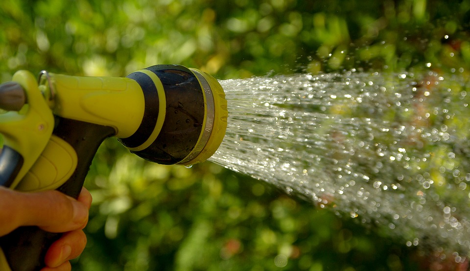 watering lawn at night