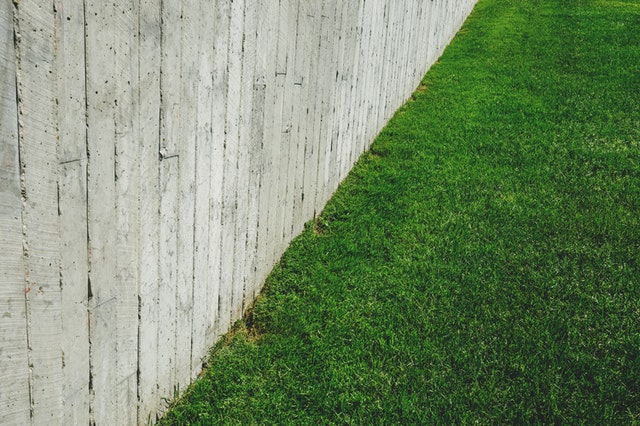 lawn and fence