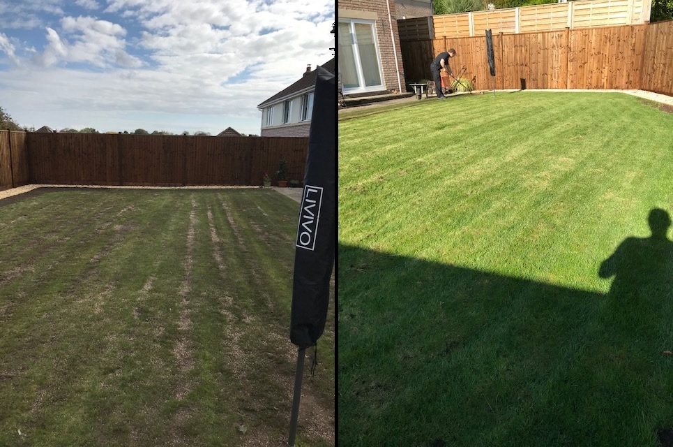 Lawn before and after top dressing