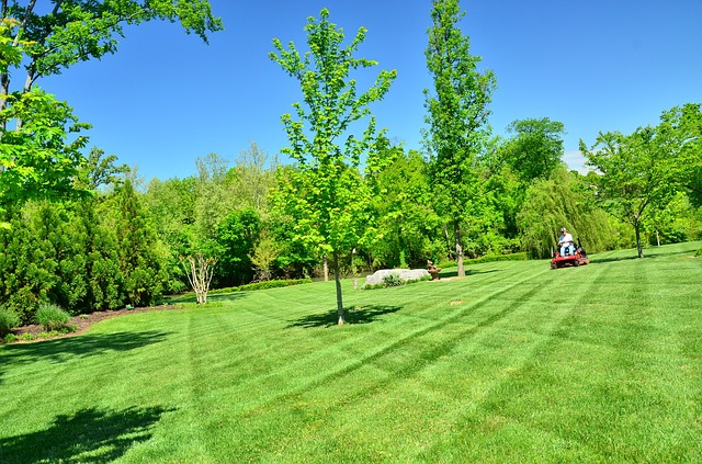 plan lawn care schedule 2021