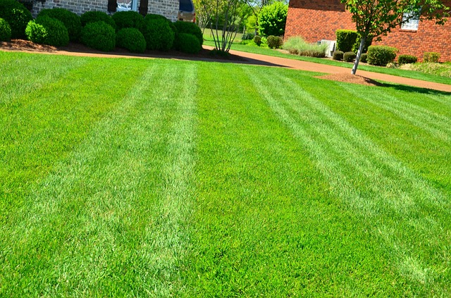 bank holiday lawn care