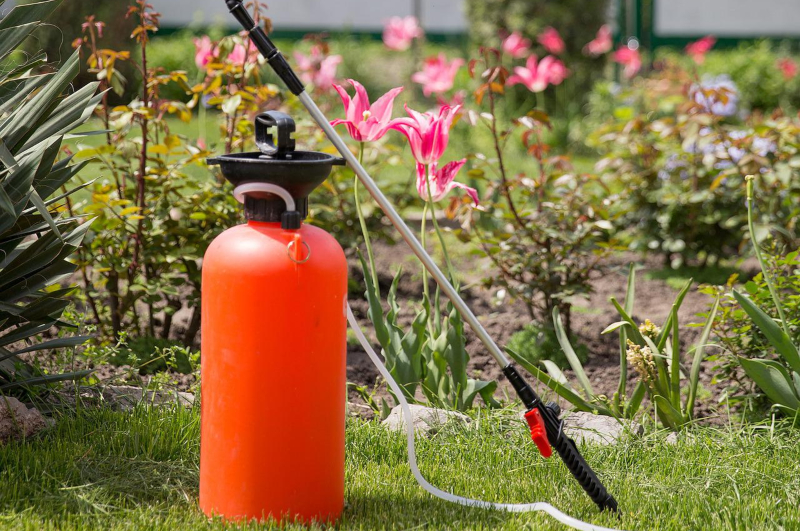 Lawn Fertiliser Spray