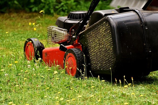 spring lawn care list