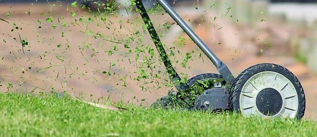 lawn care skills