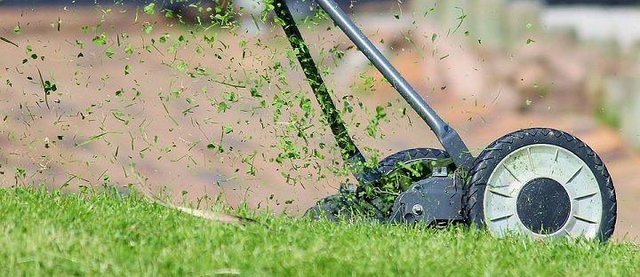 Mowing the lawn