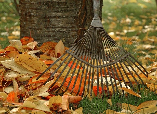Lawn rake