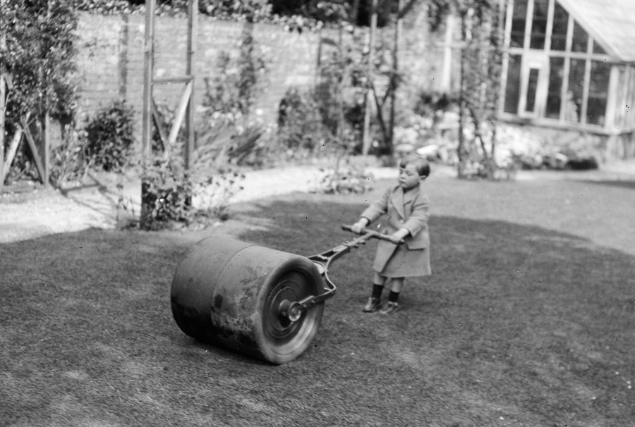 Rolling the lawn