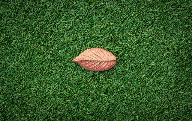 Problems with Artificial Grass