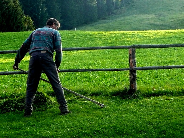 grass scythe