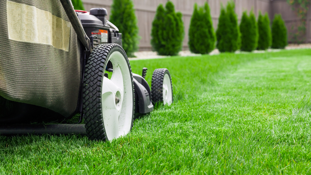 mower