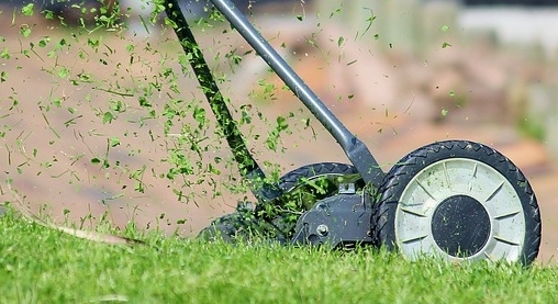 lawn mower cutting grass
