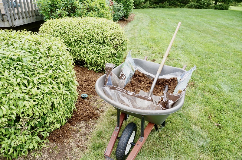 Mulching grass