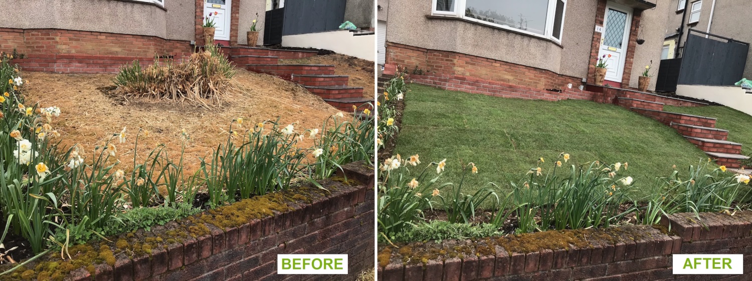 New lawn - before and after