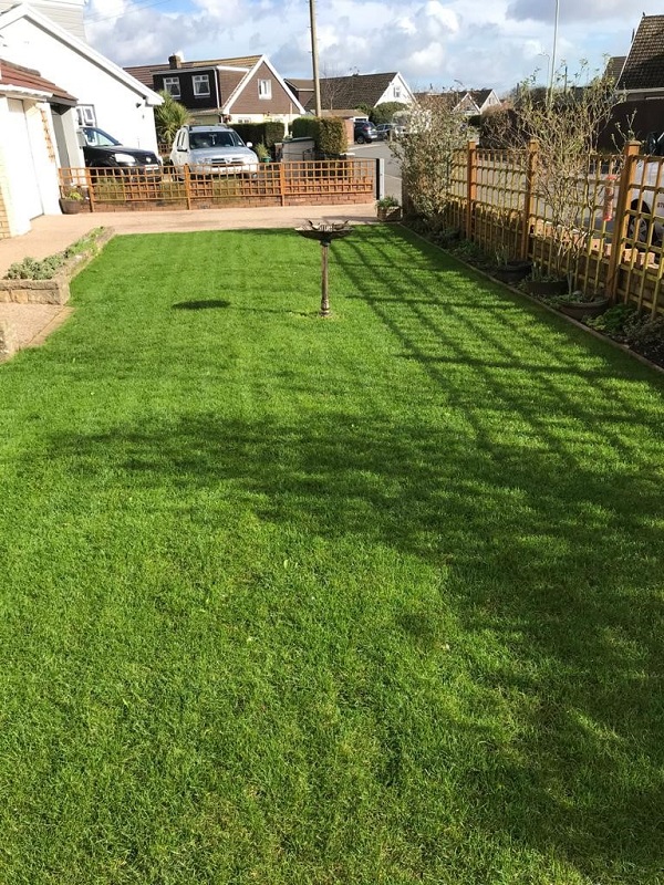 lawn treatment in pecoed