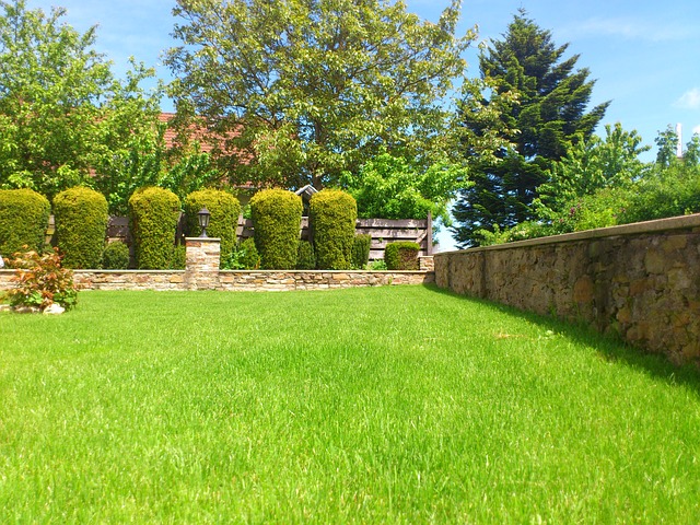 Grassy lawn in back garden