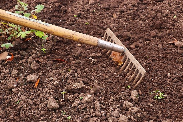 a rake preparing the ground for seeding and turfing