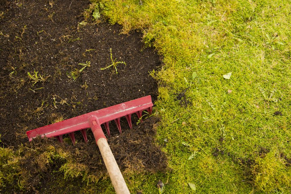 raking dirt