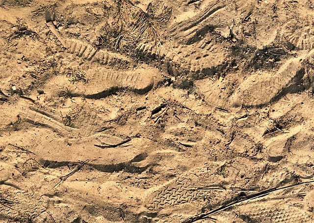 Sandy soil