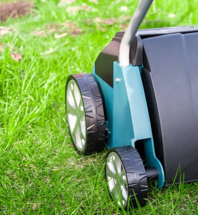 Scarify your lawn