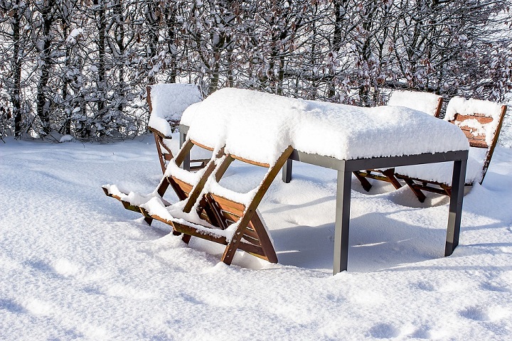 protect your garden in winter