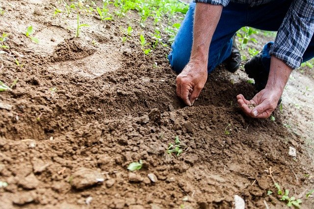 Understanding Clay Soil and How to Improve It