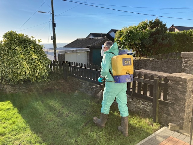 Commercial weed removal expert spraying herbicide