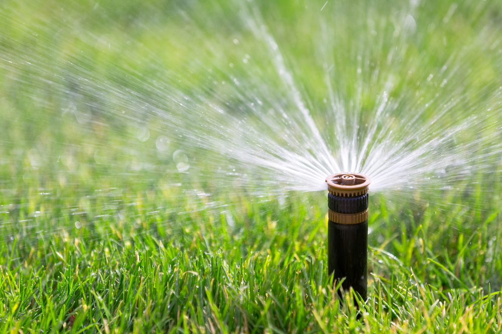 sprinkler